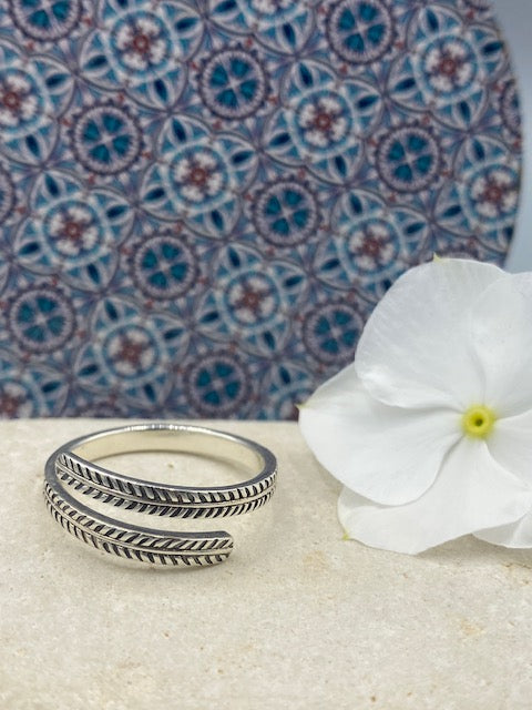 Anello Salice